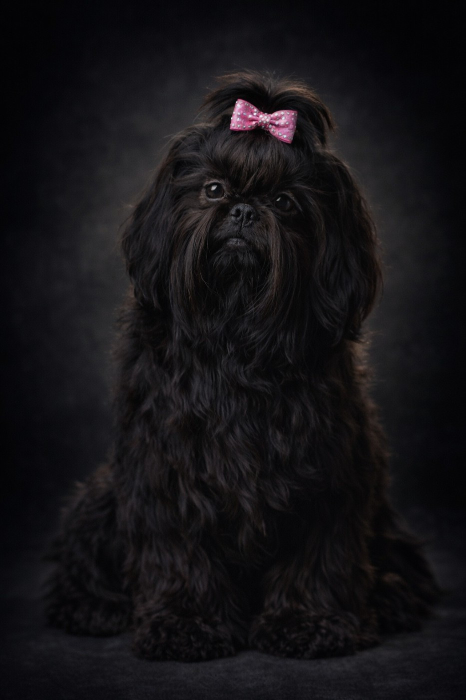 Saucisse de chalumelle