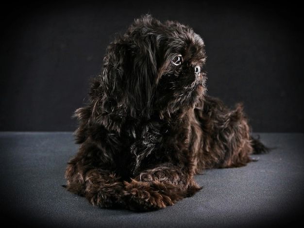 Saucisson de chalumelle